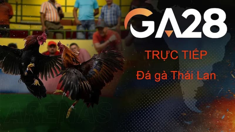 Đá gà GA28 