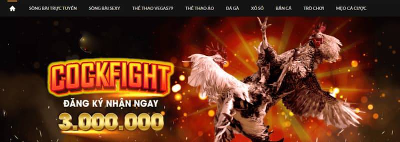 Sảnh đá gà 1Xbit 