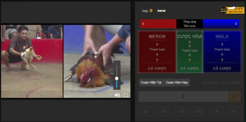 chọi gà Sabong dễ hiểu 