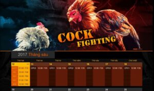 Tỷ lệ thưởng cửa BDD